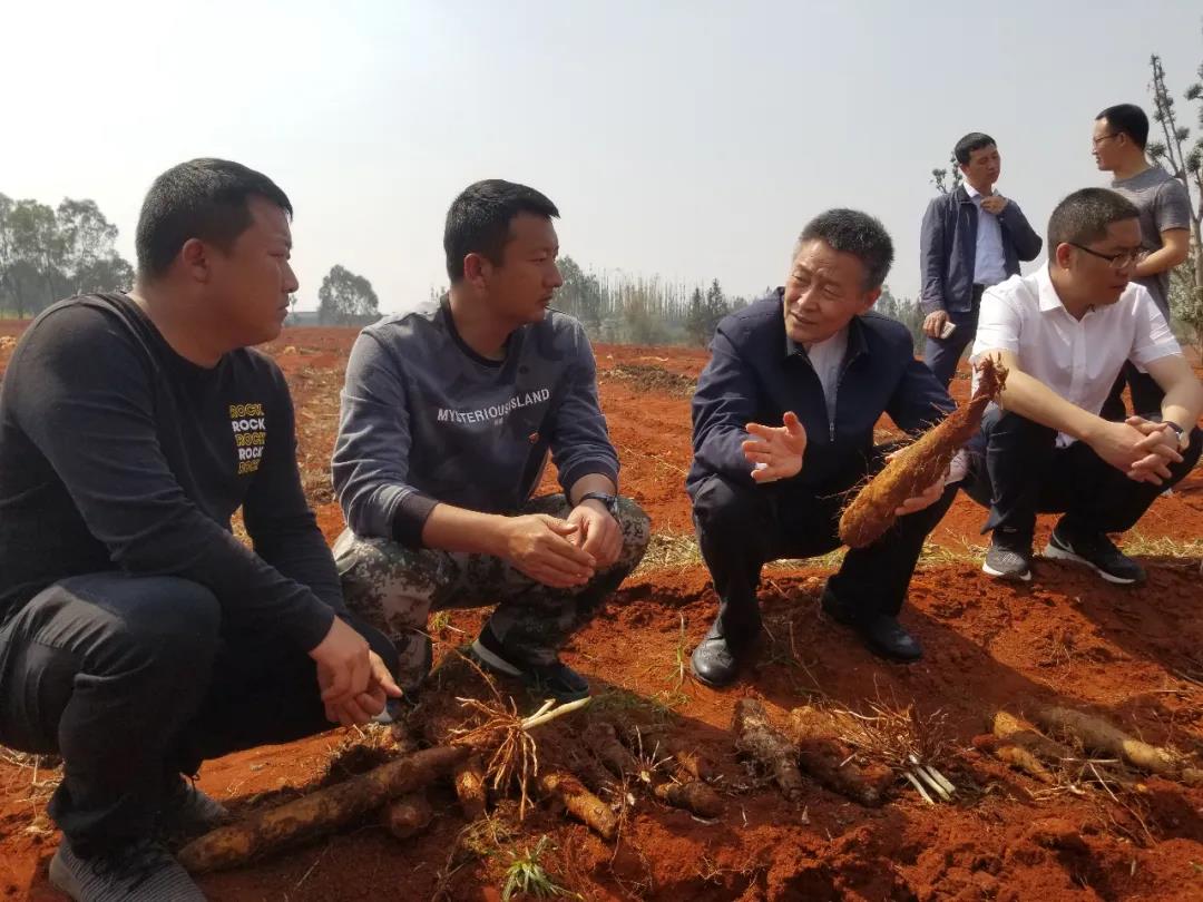 FDE740F93D962E8306716C93921_C23194AA_1D2FD.jpg?e= J9集团国际站【中国区】官方网站